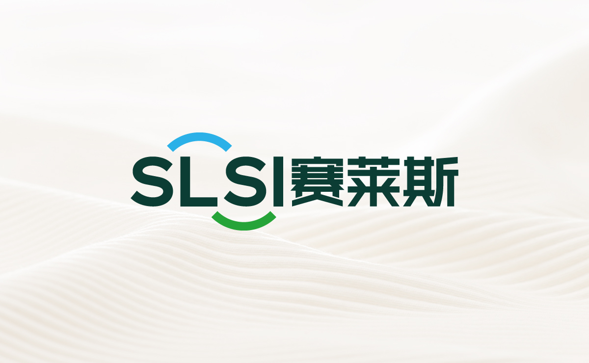 SLSI 赛莱斯