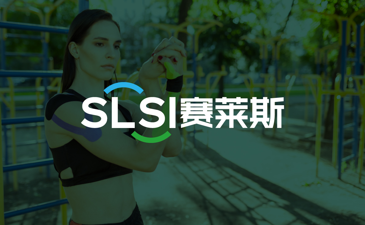 SLSI 赛莱斯